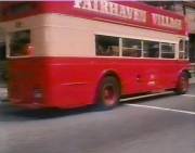 youngjoe2.jpg