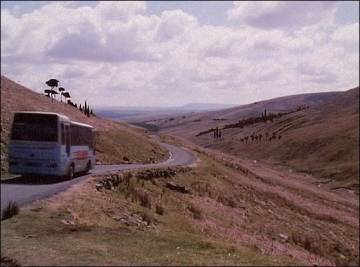 hetty10301.jpg hetty10301.jpg