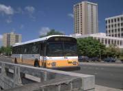 magnum50701.jpg magnum50701.jpg