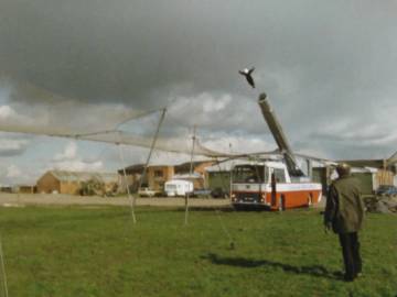 showman6.jpg